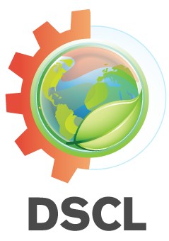 Development Solutions Consultant Limited (DSCL)